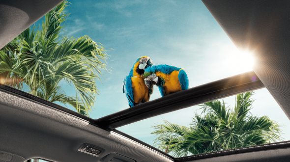 Chery Tiggo 7 Pro Великий панорамний дах Chery Tiggo 7 Pro Великий панорамний дах